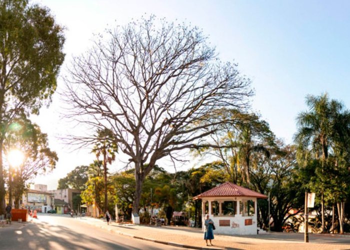 Clínica de recuperação em Mairiporã - SP